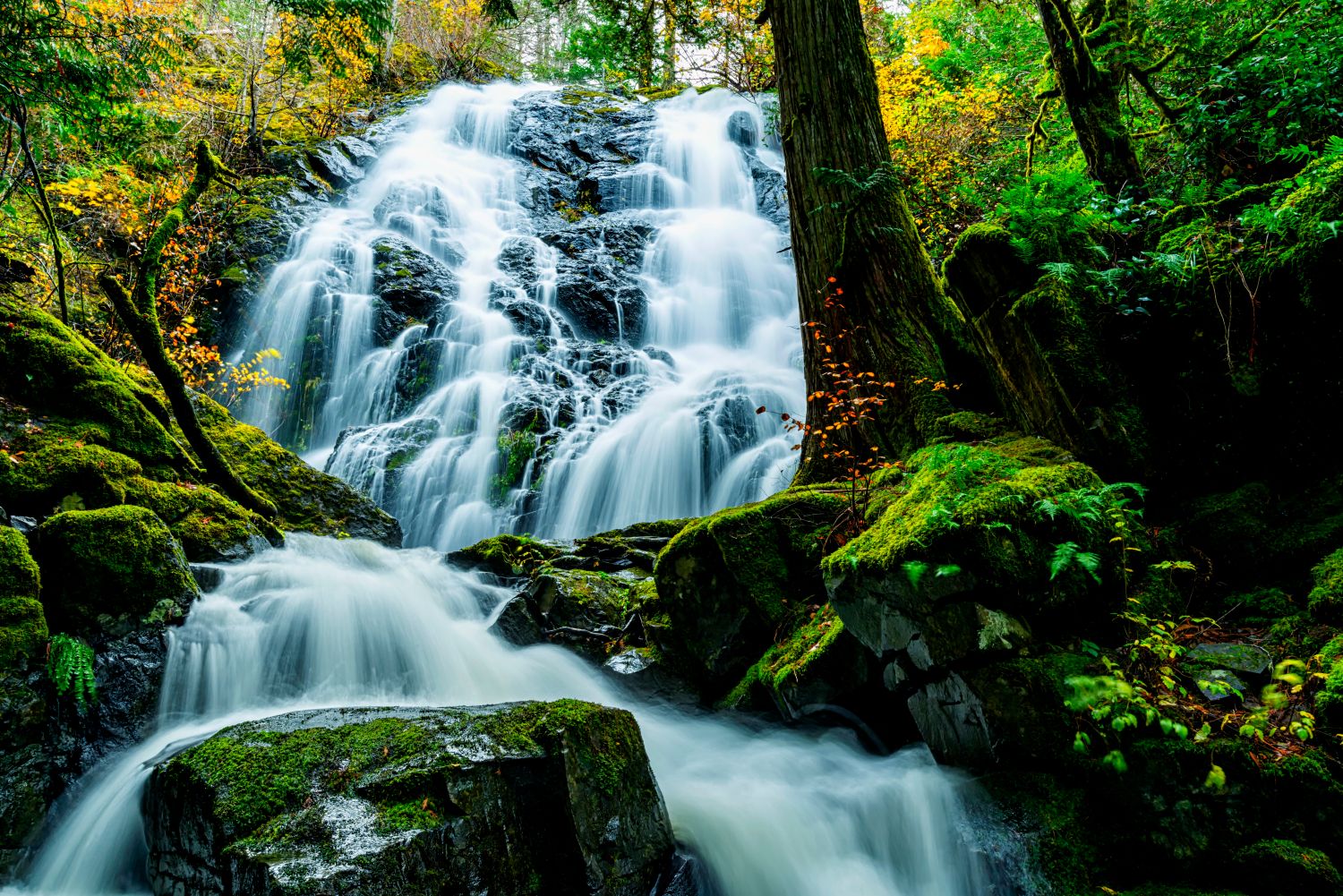 Nachi Falls